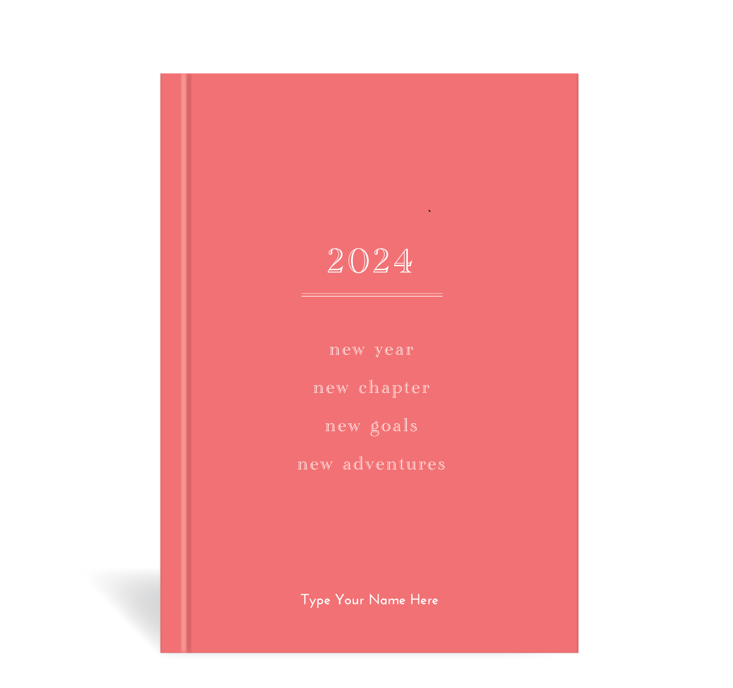 2024 New Year Diaries –