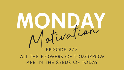 #277 - Monday Motivation: "All the flowers of tomorrow are in the seeds of today."